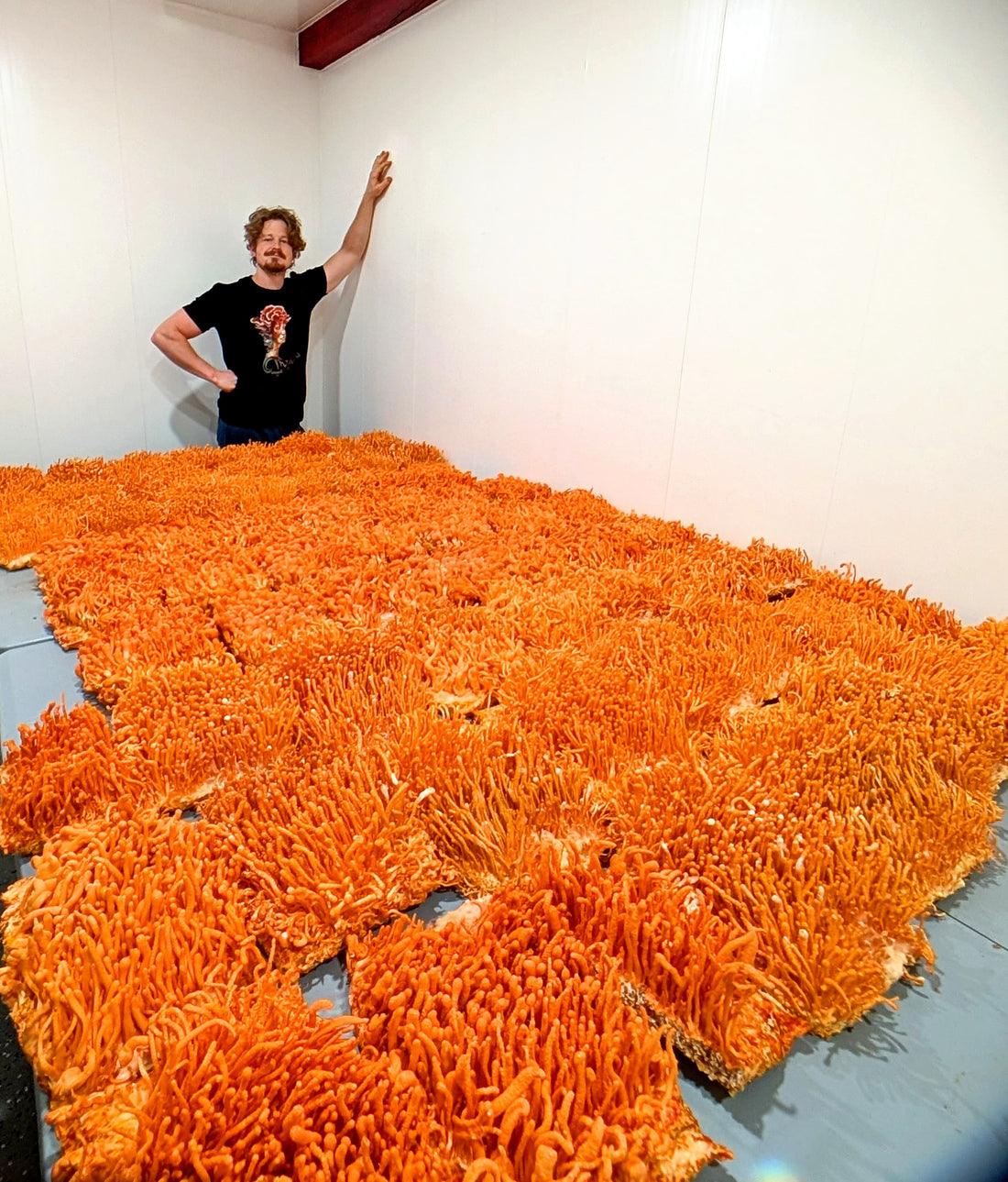 Mindfull Mycology founder Sam Blackstone with a large harvest of Cordyceps militaris fruit bodies grown at the Mindfull Mycology farm in Dahlonega, Georgia