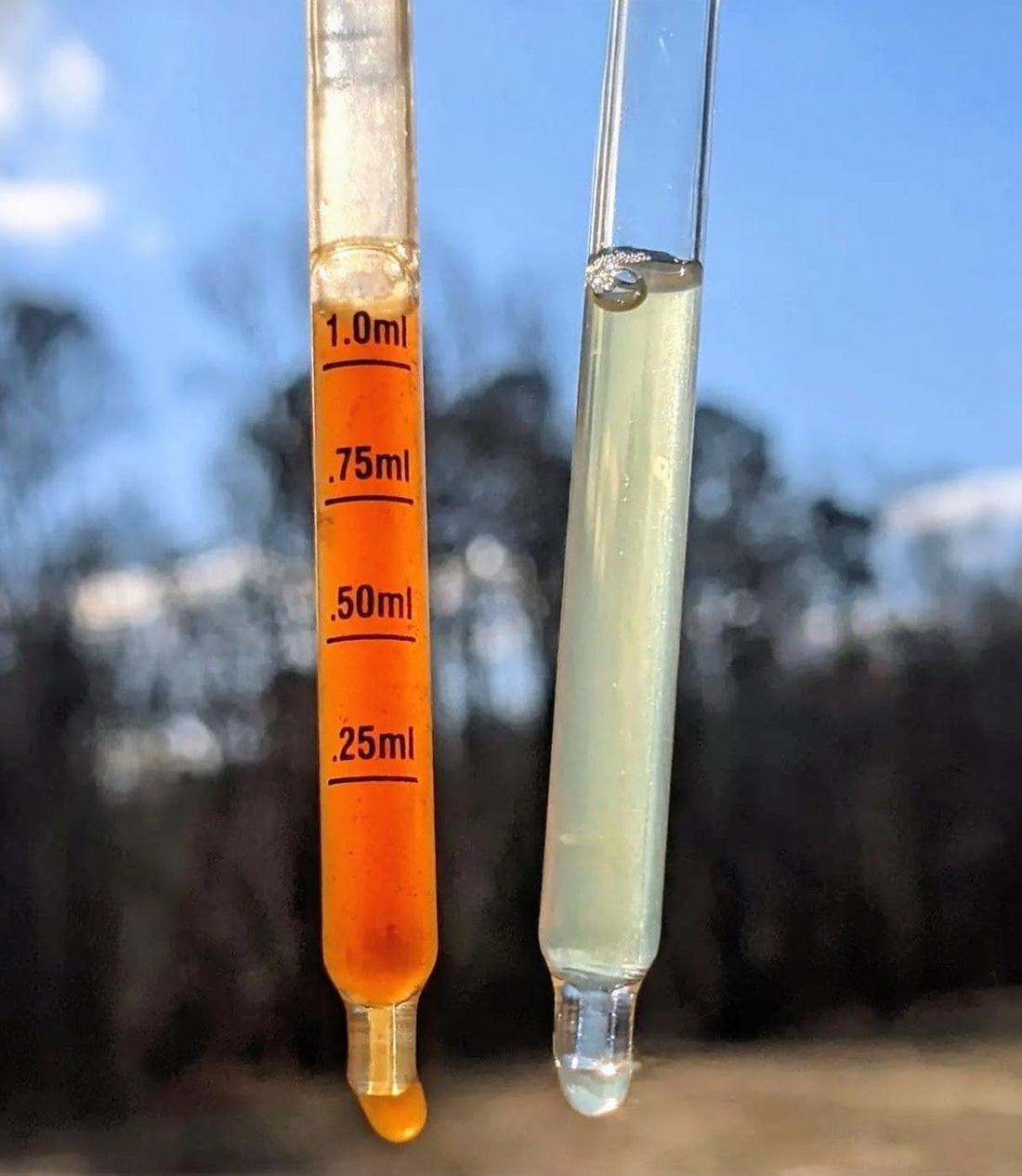 Side-by-side comparison of a potent Mindfull Mycology mushroom extract tincture versus a weak diluted mushroom supplement, showing the dramatic color difference in dropper pipettes.