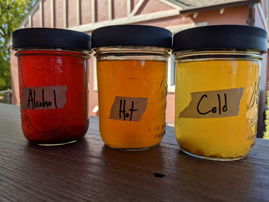 Three labeled mason jars of mushroom extract side by side — dark red alcohol extract, orange hot water extract, and pale yellow cold water extract.