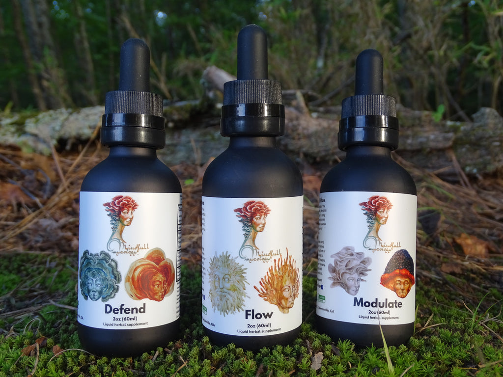 Three black dropper bottles labeled Defend, Flow, and Modulate from Mindfull Mycology, displayed on green moss with a forest background.