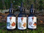 Three black dropper bottles labeled Defend, Flow, and Modulate from Mindfull Mycology, displayed on green moss with a forest background.