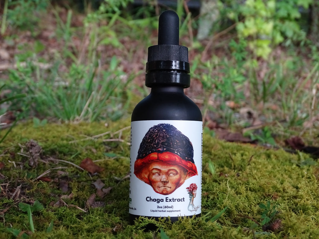 One black dropper bottle labeled Chaga from Mindfull Mycology, displayed on green moss with a forest background.