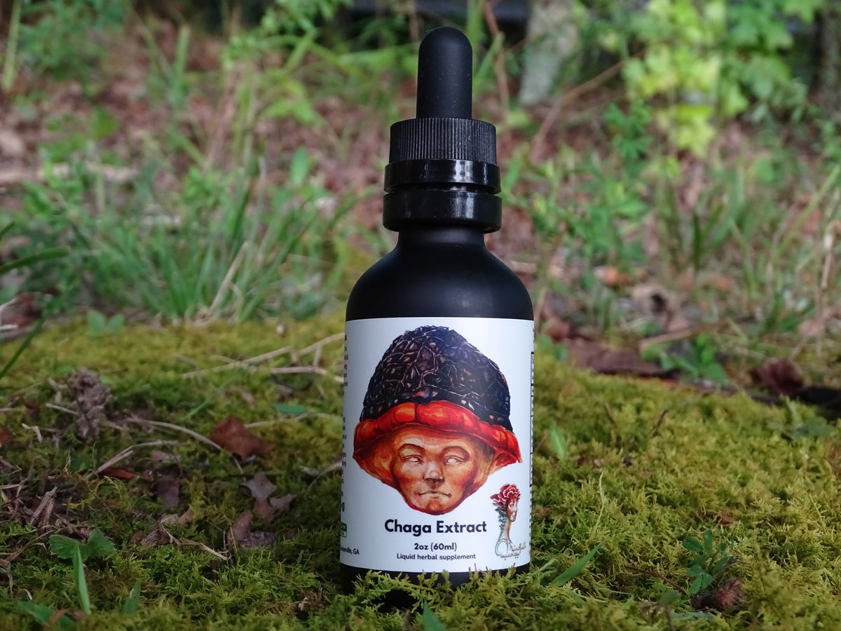 One black dropper bottle labeled Chaga from Mindfull Mycology, displayed on green moss with a forest background.