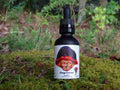 One black dropper bottle labeled Chaga from Mindfull Mycology, displayed on green moss with a forest background.
