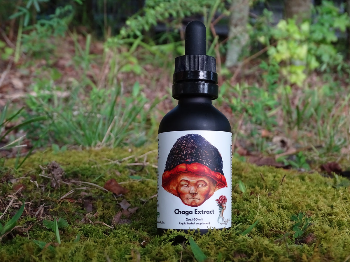 One black dropper bottle labeled Chaga from Mindfull Mycology, displayed on green moss with a forest background.