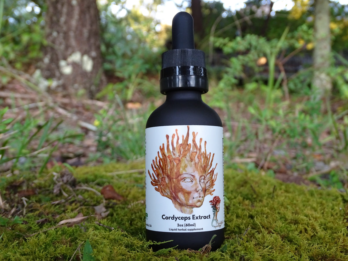 Cordyceps Mushroom Extract