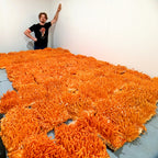 Sam, founder of Mindfull Mycology, stands beside trays of vivid orange cordyceps mushrooms densely covering a large cultivation room, their thin finger-like fruiting bodies reaching several inches tall.