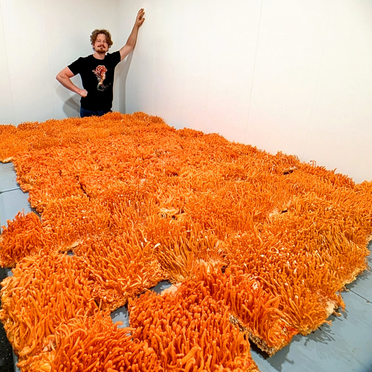 Sam, founder of Mindfull Mycology, stands beside trays of vivid orange cordyceps mushrooms densely covering a large cultivation room, their thin finger-like fruiting bodies reaching several inches tall.