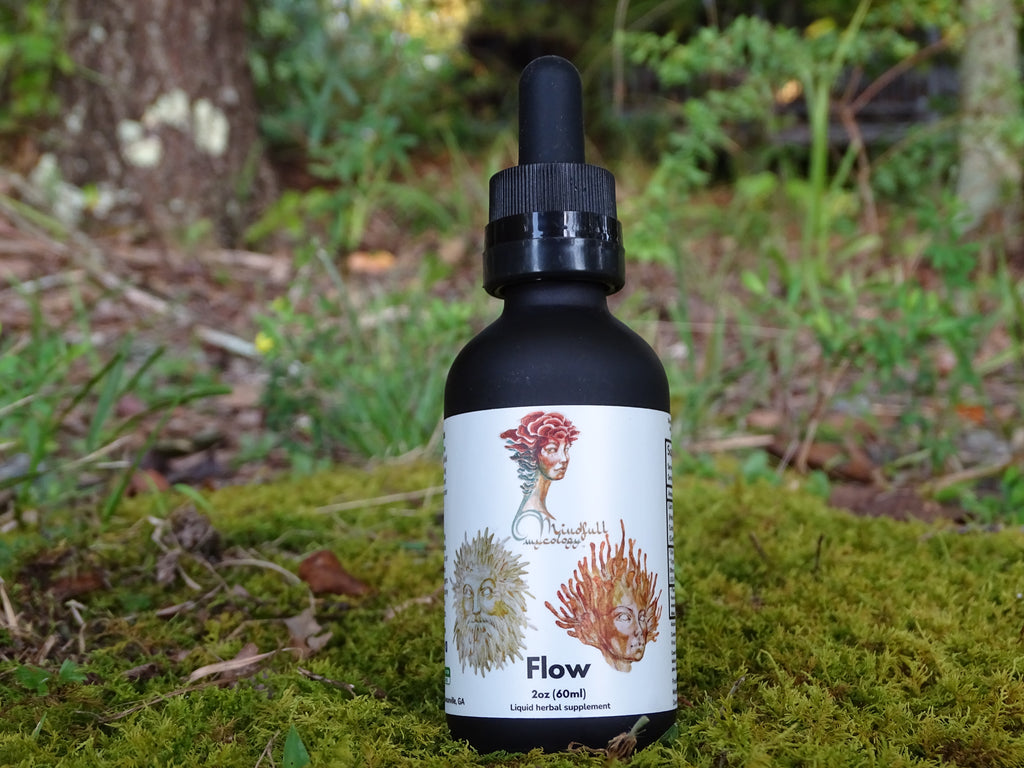 Flow Medicinal Mushroom Extract