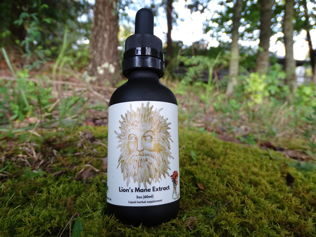 Lion's Mane Mushroom Extract