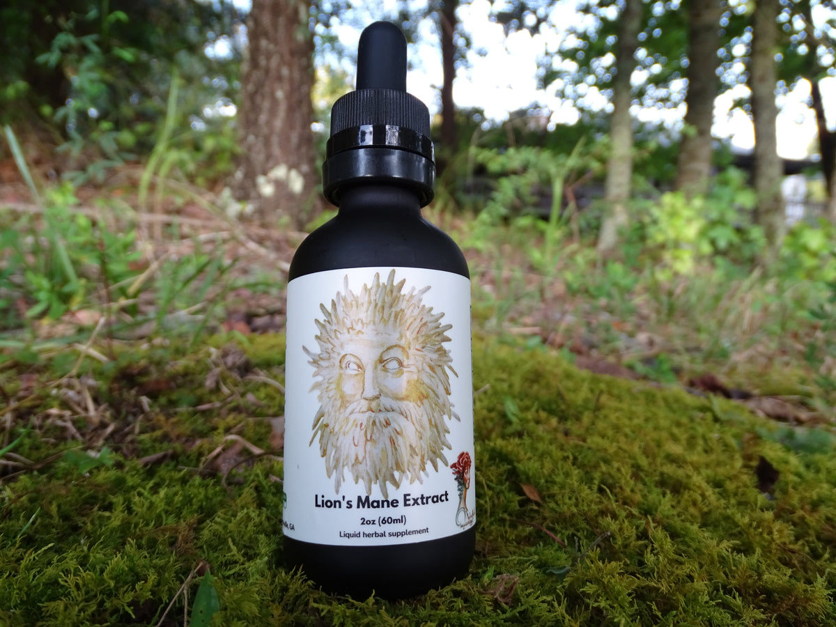 Lion's Mane Mushroom Extract