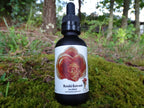 Reishi Mushroom Extract