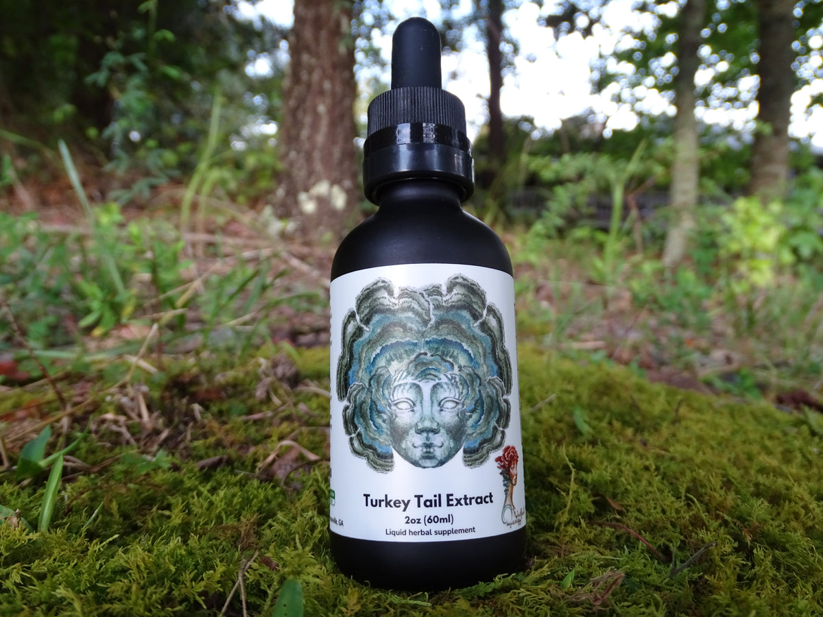 Turkey Tail Mushroom Extract
