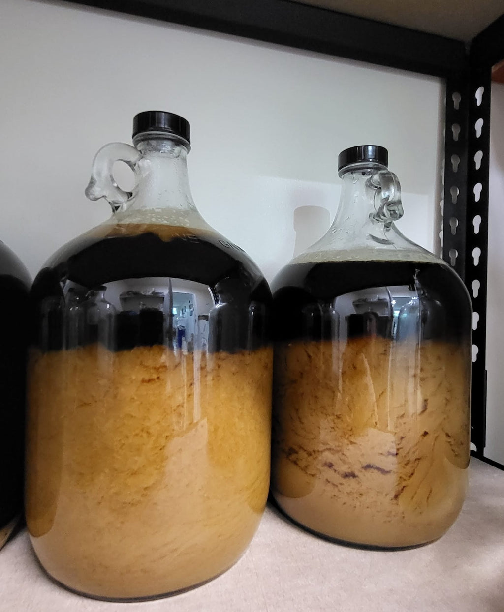 Blended Medicinal Mushroom Extract Bundle