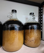 Blended Medicinal Mushroom Extract Bundle
