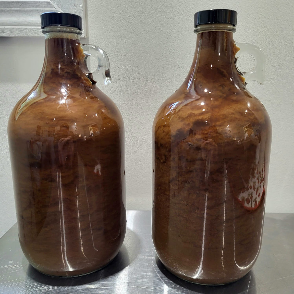 Blended Medicinal Mushroom Extract Bundle