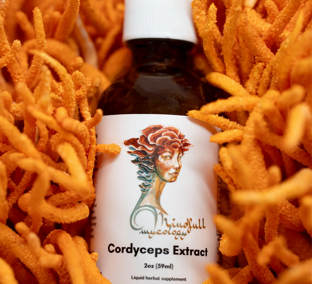 Cordyceps Mushroom Extract