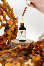 Reishi Mushroom Extract