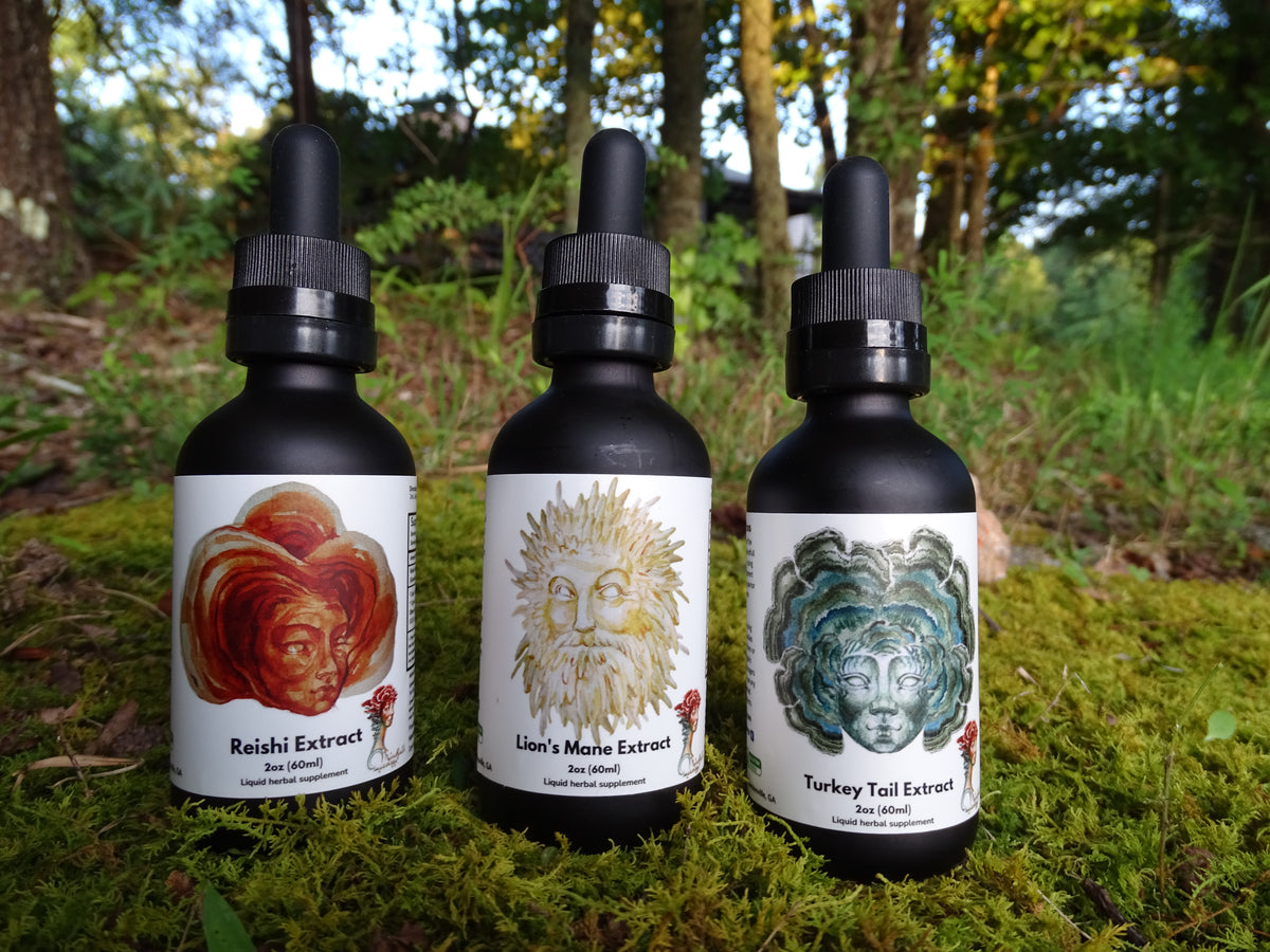 Three black dropper bottles labeled Reishi, Lion's Mane, and Turkey Tail from Mindfull Mycology, displayed on green moss with a forest background.