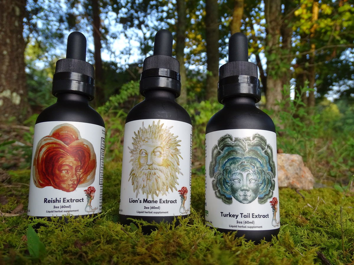 Three black dropper bottles labeled Reishi, Lion's Mane, and Turkey Tail from Mindfull Mycology, displayed on green moss with a forest background.