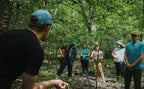 Mushroom ID, Forage, Cook and Cultivation Course