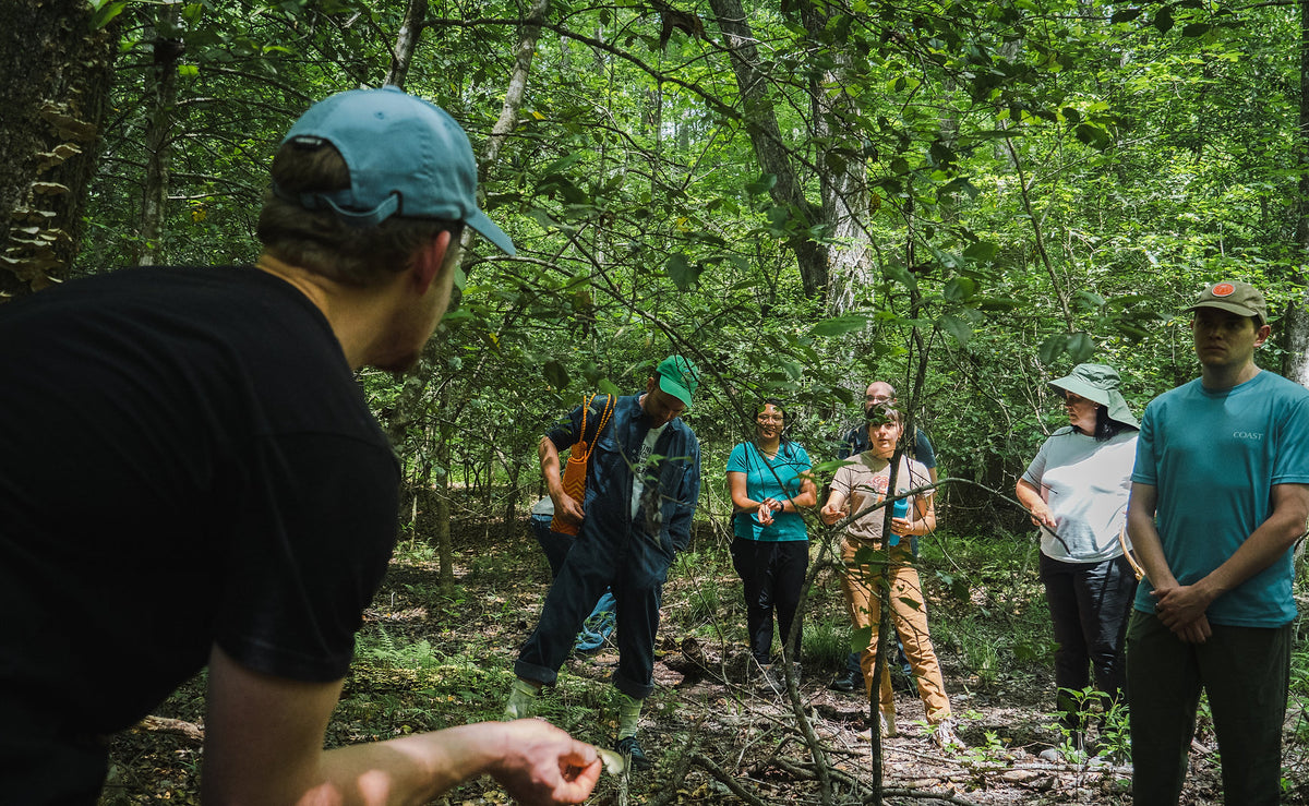 Mushroom ID, Forage, Cook and Cultivation Course