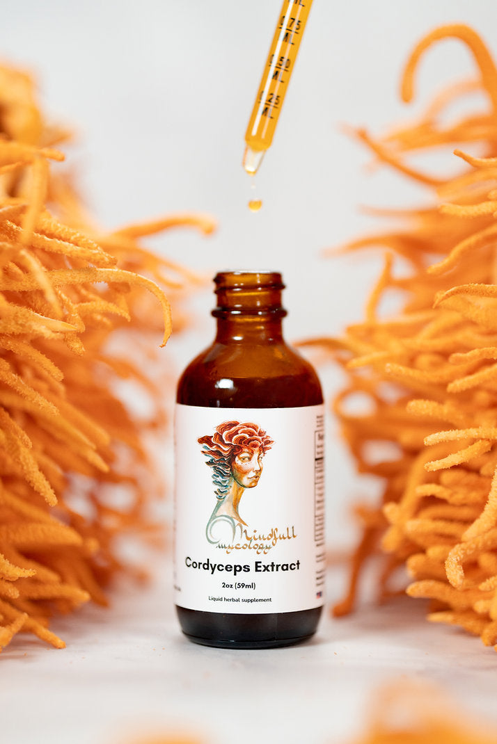 Cordyceps Mushroom Extract