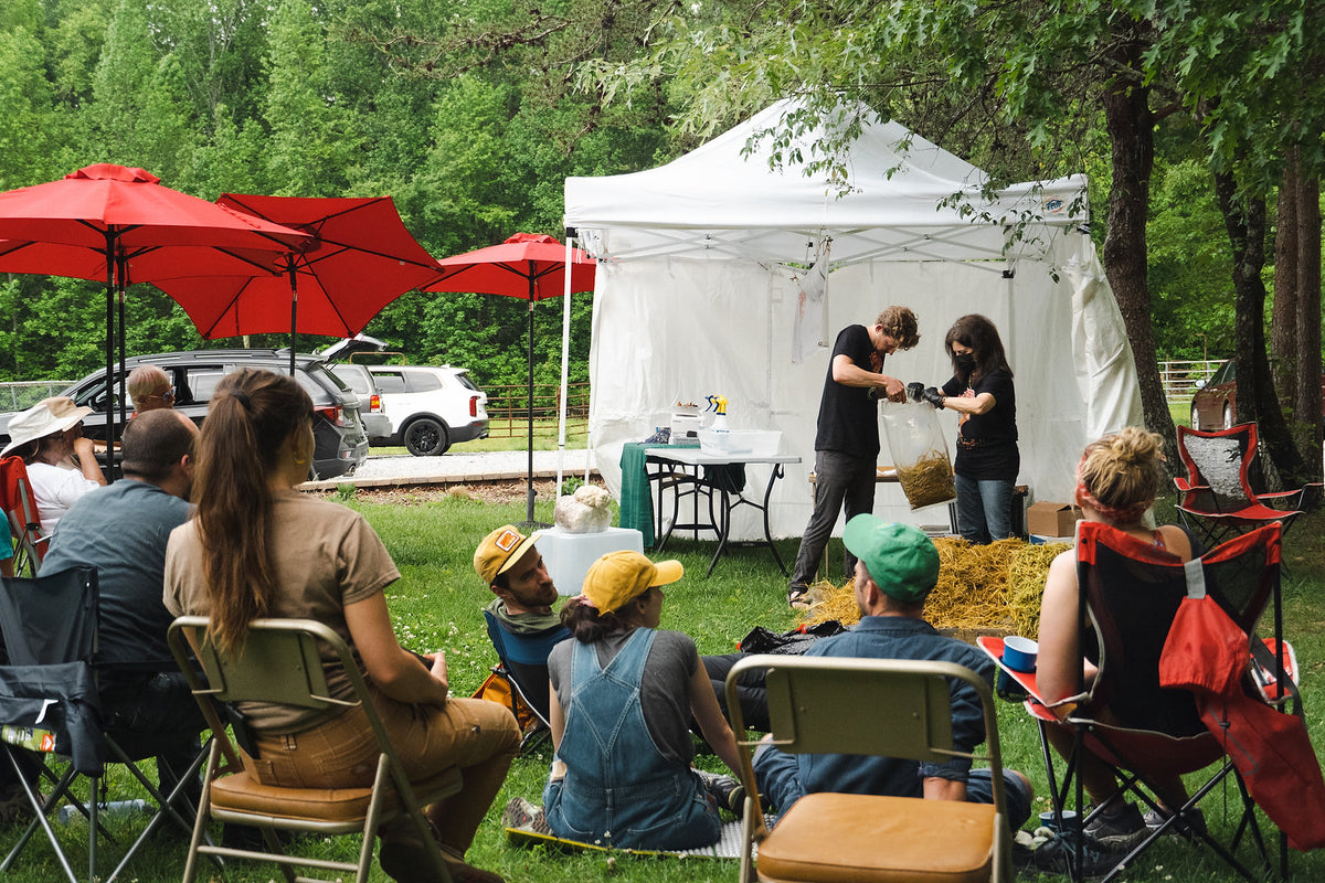 Mushroom ID, Forage, Cook and Cultivation Course