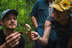 Mushroom ID, Forage, Cook and Cultivation Course